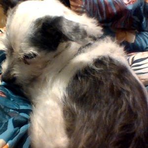 Meet your Posher, Isabelle